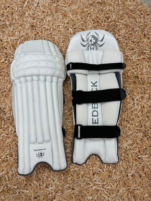 
                  
                    Load image into Gallery viewer, Premier Batting Pads Orginal Design (Ex Display Stock)
                  
                